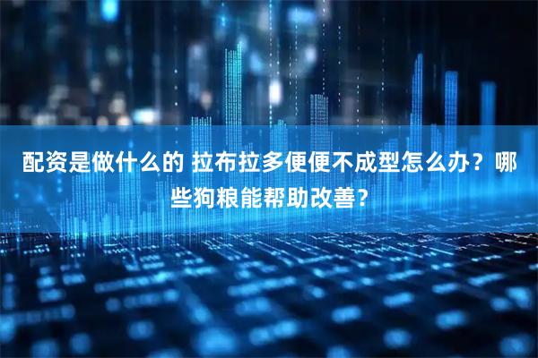 配资是做什么的 拉布拉多便便不成型怎么办？哪些狗粮能帮助改善？