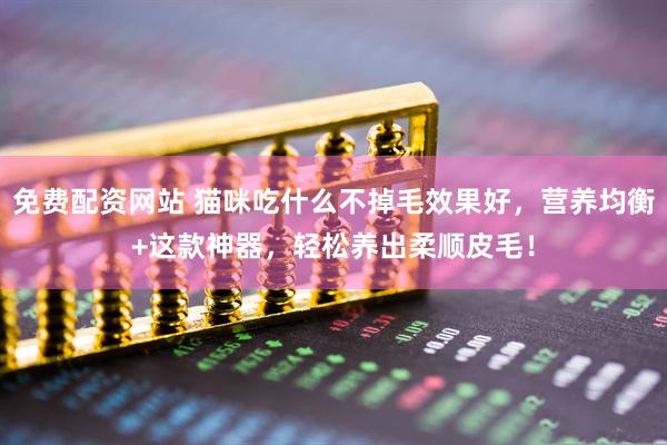 免费配资网站 猫咪吃什么不掉毛效果好，营养均衡+这款神器，轻松养出柔顺皮毛！