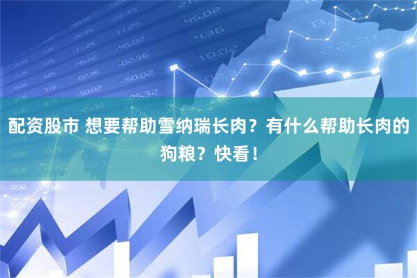 配资股市 想要帮助雪纳瑞长肉？有什么帮助长肉的狗粮？快看！